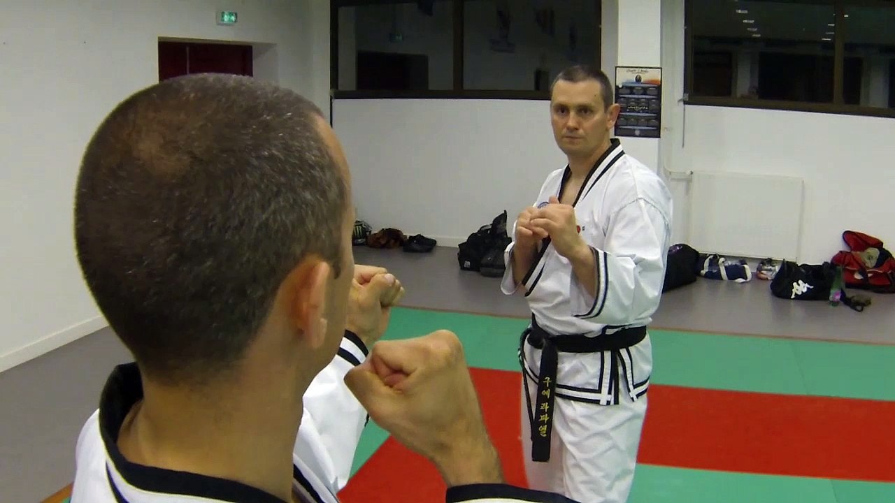 Hapkido JJK - This Is Hapkido Jin Jung Kwan