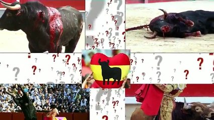 PETA Das Verhätnis Mensch zu Tier - Ein Dokumentarfilm von Scott A.H