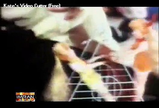 Sau baras ki zindagi- Insaaf aur Qanoon (Original song)