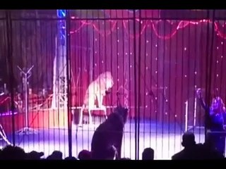 خطير - لحظة هجوم الأسد على فاتن الحلو في السيرك بطنطا