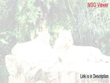 MSG Viewer Cracked [msg viewer osx]