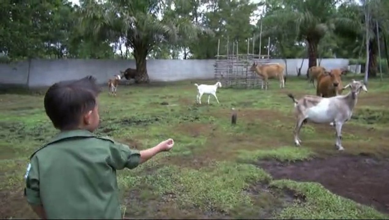 Enzo, The little animal guardian 2