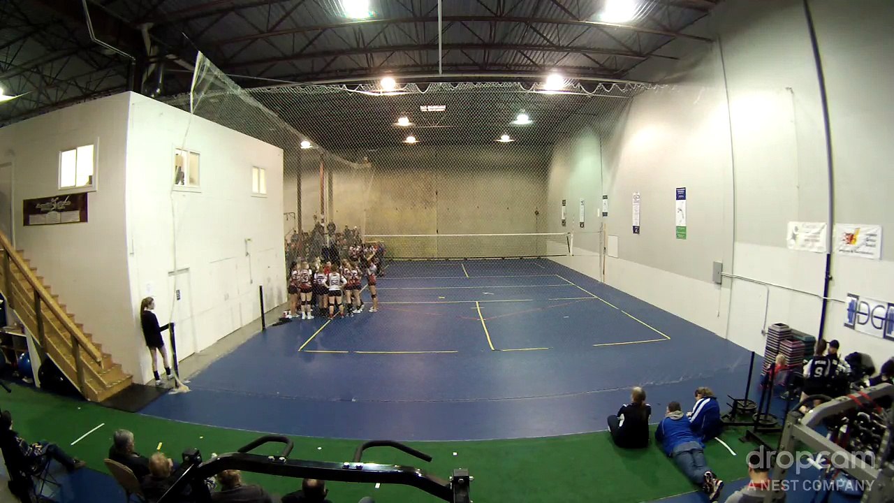 synsyn-2