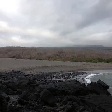 Playa en las islas galápagos