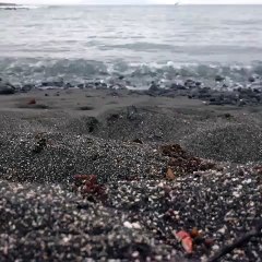 Visitando rabida Island en galápagos