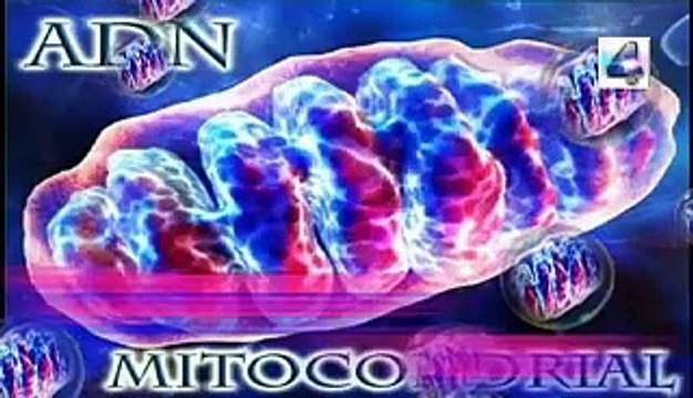 jamas visto en carreras de autos tecnologia de filmacion enigmas misterios secretos mitos paranormal fantastico español latino
