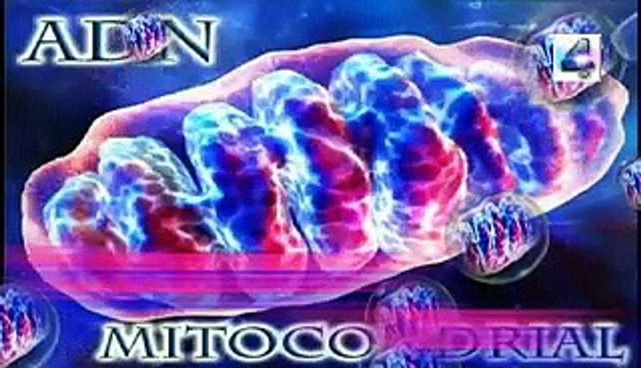 juventud biologica el secreto esta en hacer deporte y enigmas misterios secretos mitos paranormal fantastico español latino