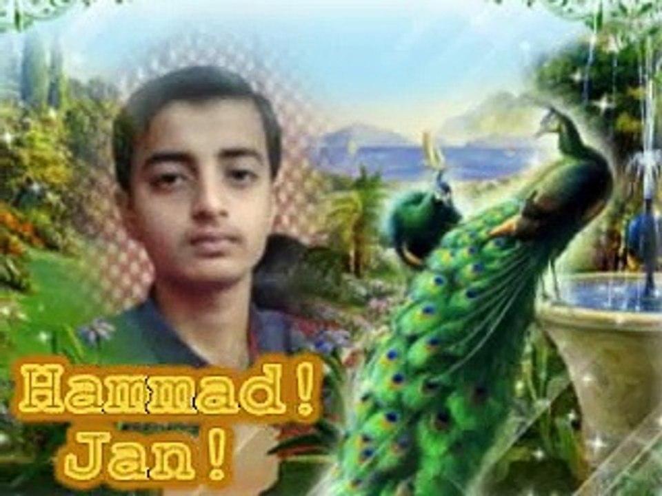 hammad jan