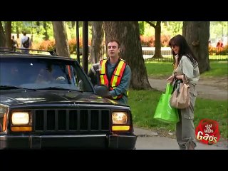 Smart Dog Drives a Very Special Car.