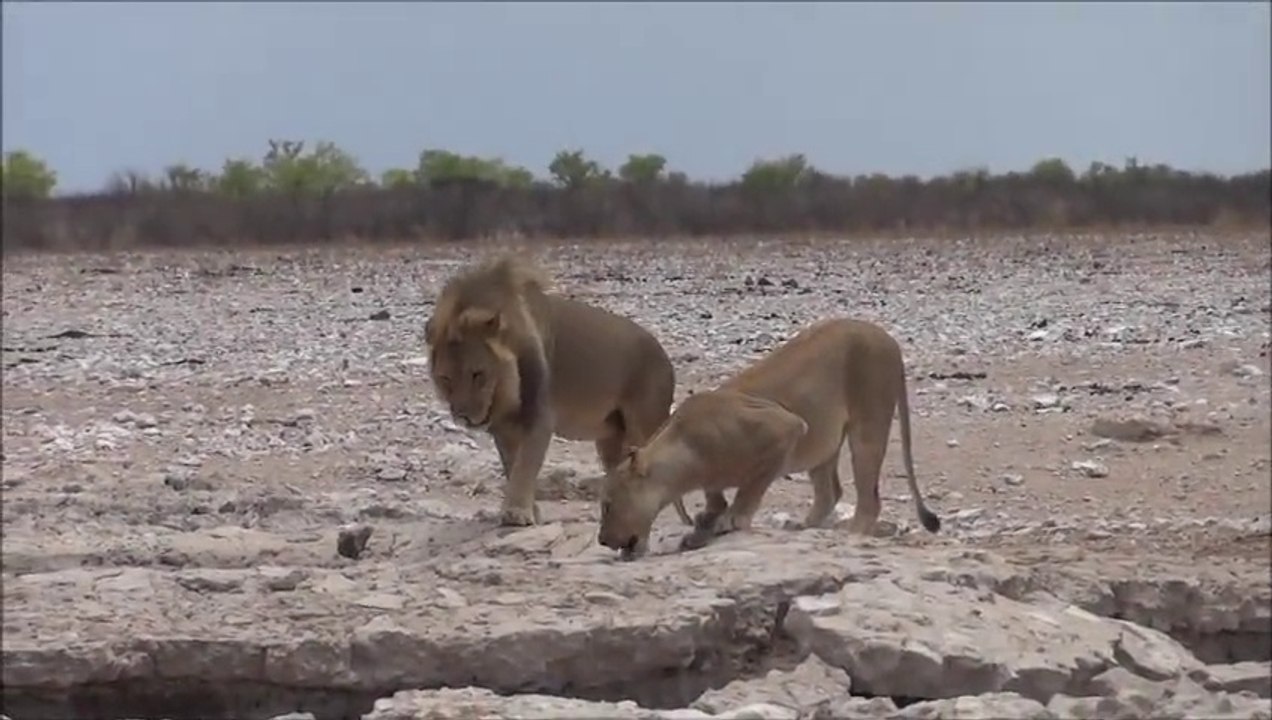 Namibie novembre 2104