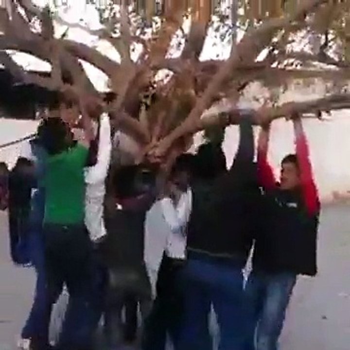Human slingshot funny(must watch)