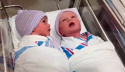 Newborn (one-hour-old) twins have first -conversation