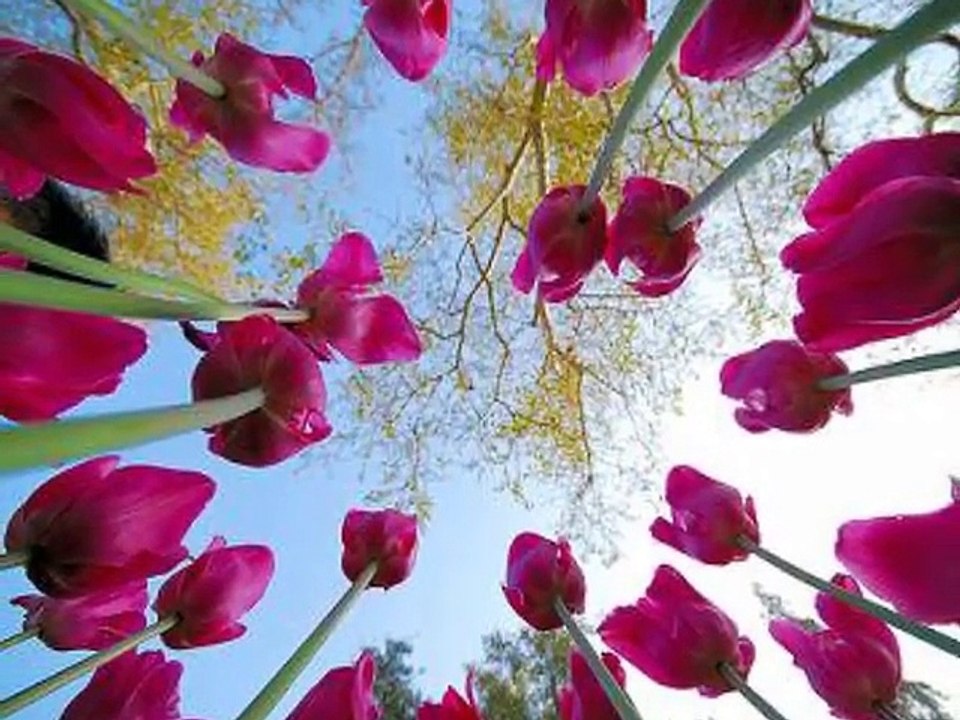 Zikirli İlahi La İlahi İllallah Emrullah Coşkun