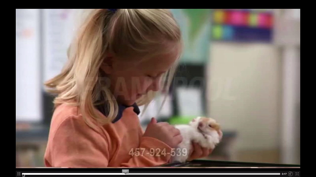 Hamster