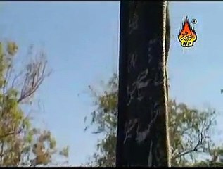 FARHAN ALI WARIS 2010 HQ ALMAA&#39;N WALAY(A.S).WMV.0