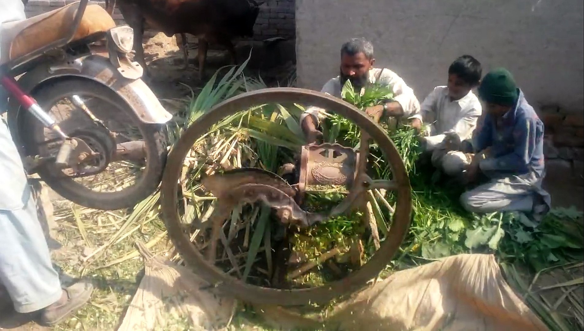 Pakistani Jagaar