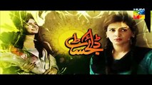 Digest Writer Episode 20 Promo HUM TV Drama Feb 07, 2015