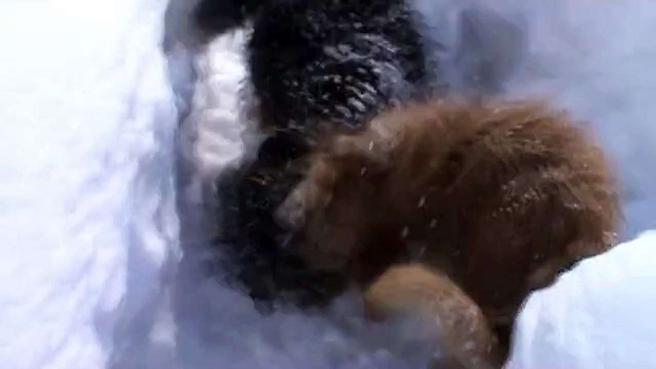 février 2015 Charix