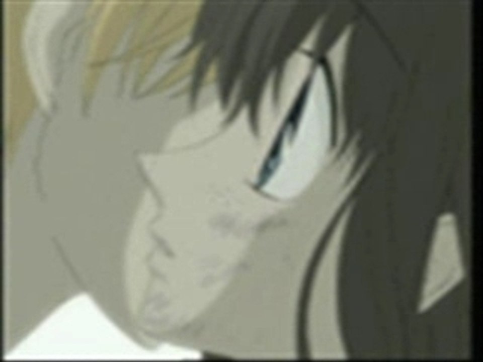 amv Fruits basket