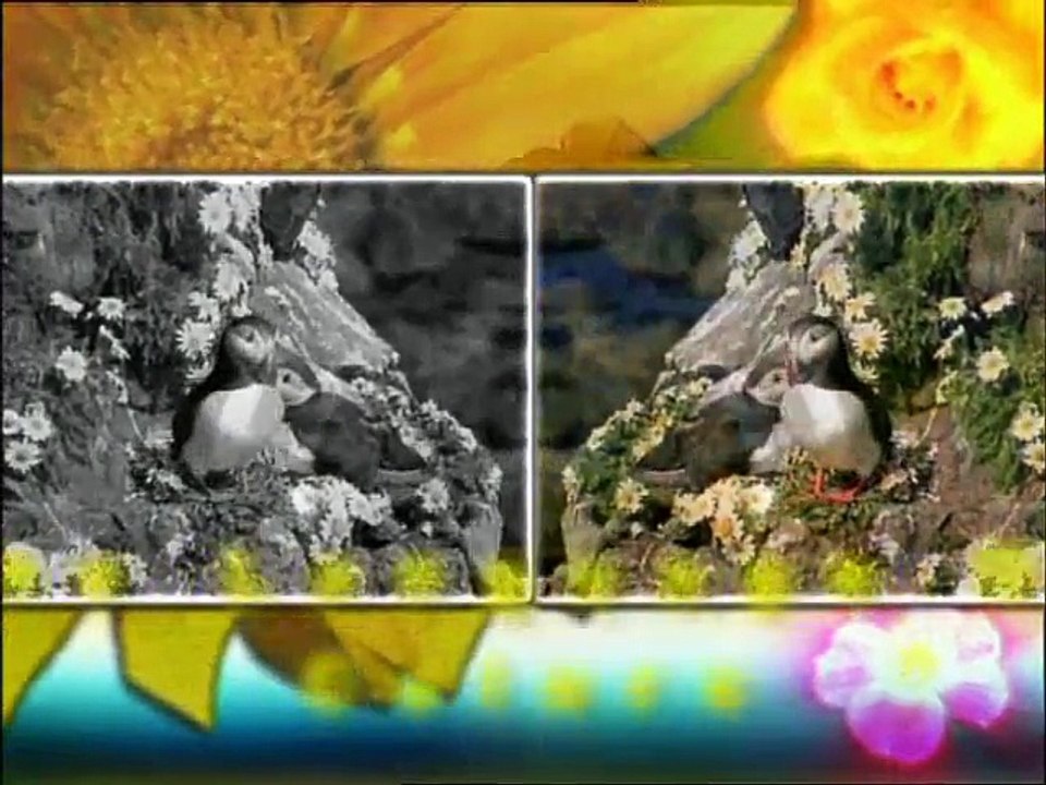 You can see Allah in his Arts!!!