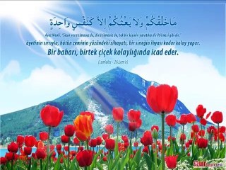 Gurup Hacegan Zikirli İlahi