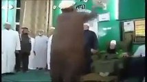 Watch How People Jumping & Dancing In Mosque On Music, What Kind of Islam is This?