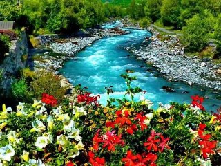 Rüya Alemi Fon İlahi