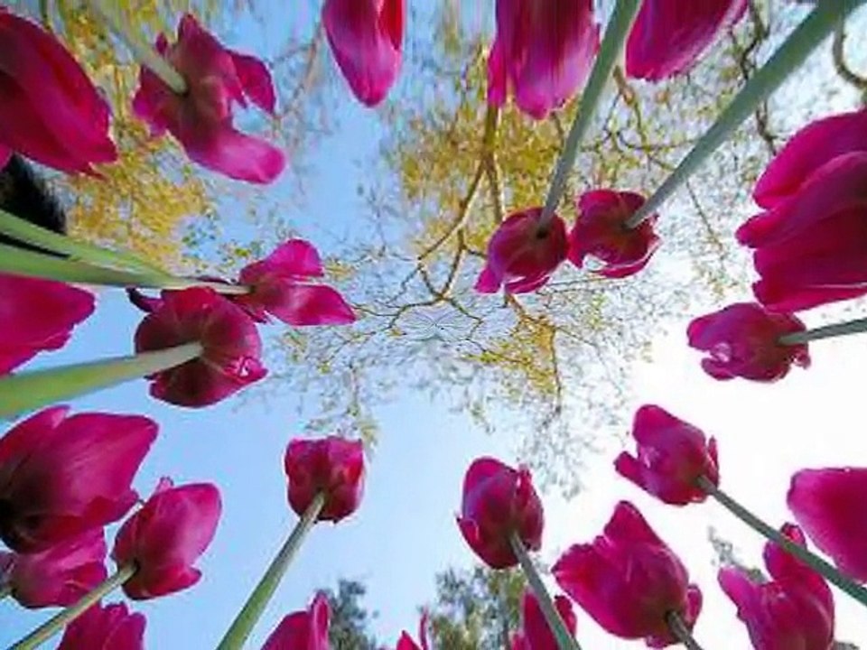 Güzel Bir İlahi Aşk ile Yandır Allah