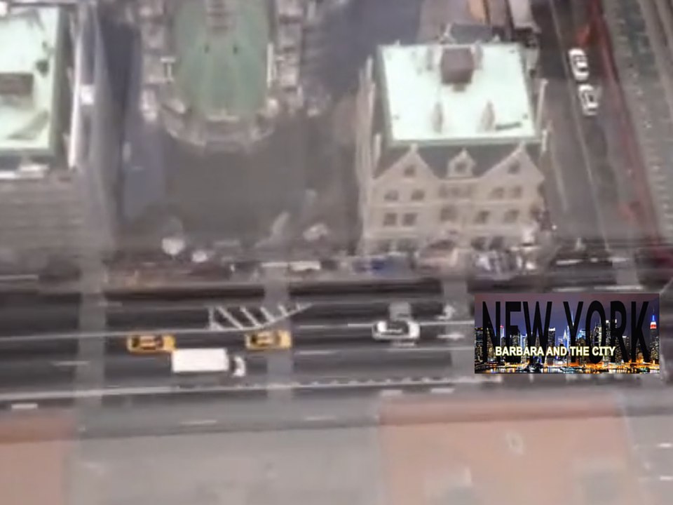 BARBARA AND THE CITY/NEW YORK - La nevicata