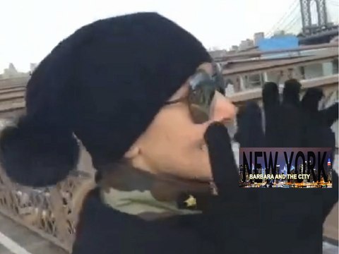 BARBARA AND THE CITY/NEW YORK - Una tappa che non poteva mancare: il ponte di Brooklyn!