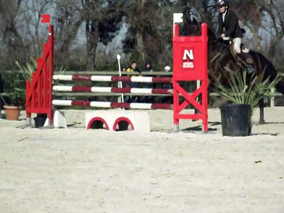 pipile