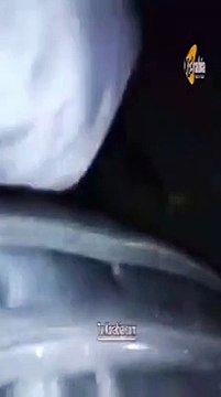 أول فيديو لقتلي وايت نايتس أمام ستاد الدفاع الجوي