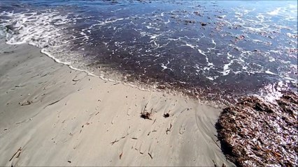 Winter Sea - San Carlos - Ibiza