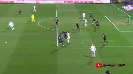Clinton N'Jie Goal - Lyon vs PSG 1-0 (Ligue 1) 08.02.2015 HD