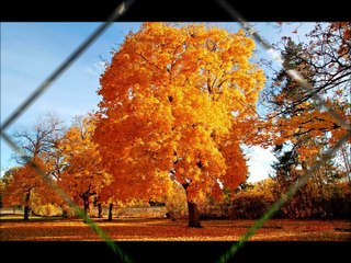 ETHEM BABRAK BIRAK KALBİN ALEV ALSIN 2009