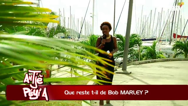 ATPA 06 02 15 QUE RESTE T IL DE BOB MARLEY RAS DANIEL OK