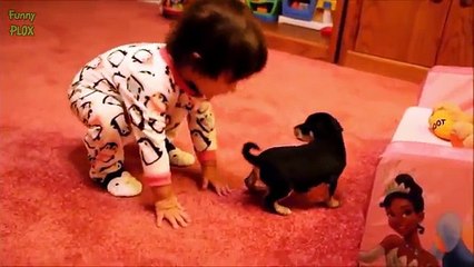Puppies and Babies Playing Together Compilation 2014 [NEW HD] (Low)