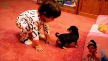 Puppies and Babies Playing Together Compilation 2014 [NEW HD] (Low)