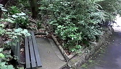 un banc qui ne sert à rien
