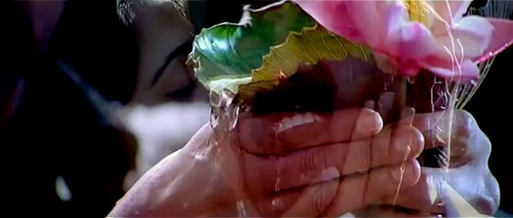 Anushka Shetty Hot Romantic Song From Telugu Swagatham Movie
