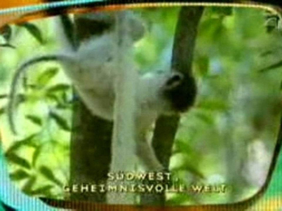 Stefan Raab - TV Total - Story vom Affen