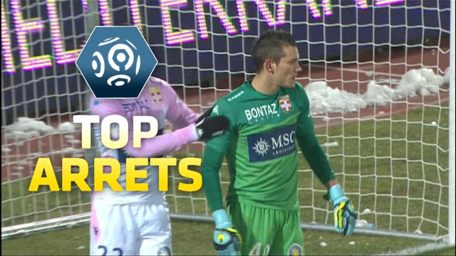 Top arrêts de la 24ème journée - Ligue 1 / 2014-15
