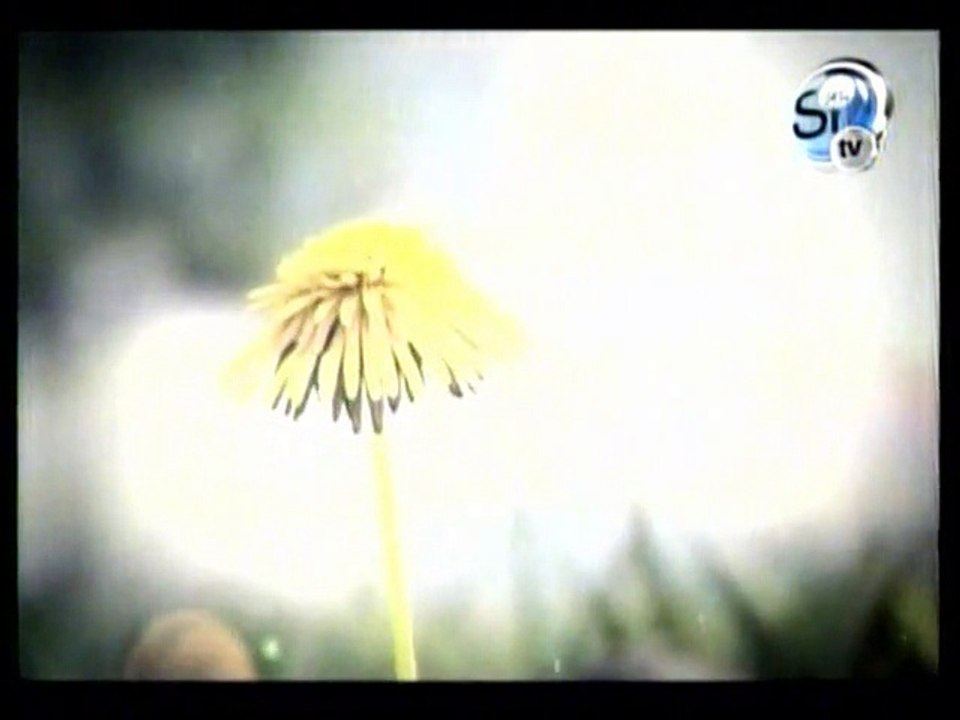 Canal Sí Televisión - ID Genérico