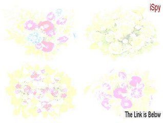 iSpy Full Download (Instant Download)