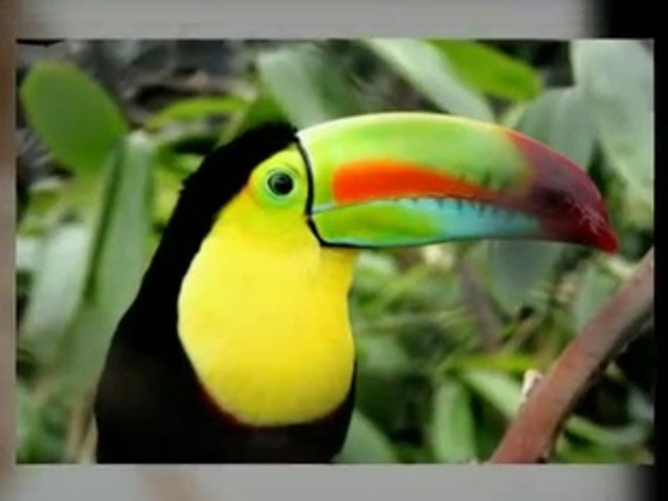 Best Weight Loss Surgeries in Mexico - PlacidWay - Medical Tourism