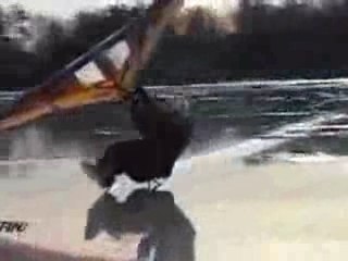 Kitewing