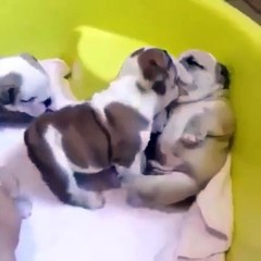 That one couple at a party who just needs to get a room... And the awkward third...