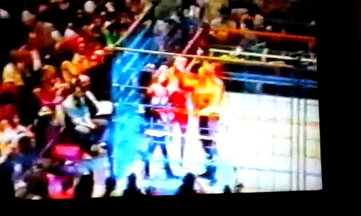 Stone Cold Steve Austin & Jake "The Snake" Roberts Comment On The Infamous Curtain Call