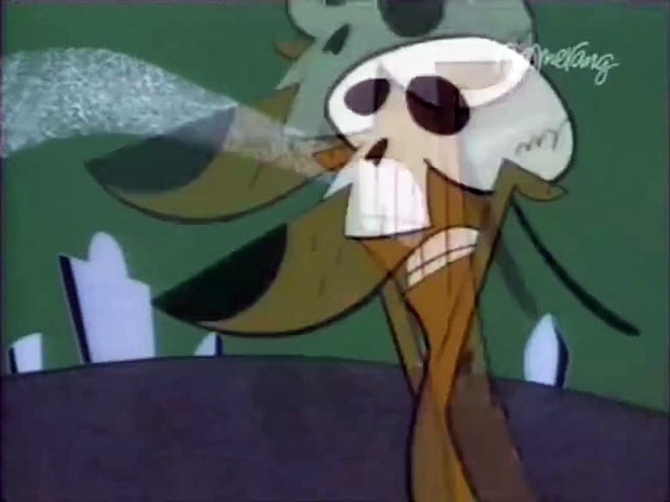 Dwa Głupie Psy - odcinek 33 - Przygoda z duchami