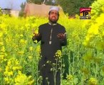 Jab se Dar e Nabi Ka Main Mehman Ho Gaya - Qari Shahid Mahmood Naat - Qari Shahid Mahmood Videos